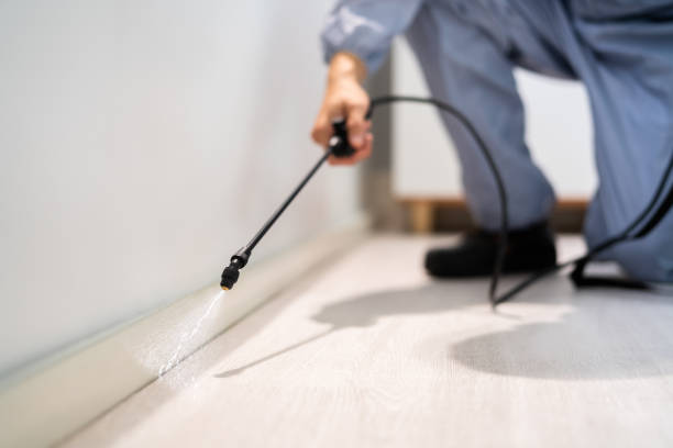 Licensed Pest Control service in Staunton city County, VA - Nex Pest Control