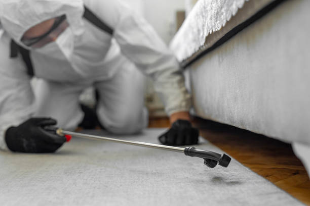 Professional Pest Control technician working in Staunton city County, VA